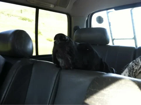 image-3142210714.webp