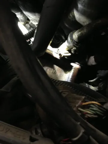 image-867030459.webp