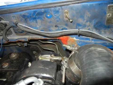 DSCN0440[1].webp
