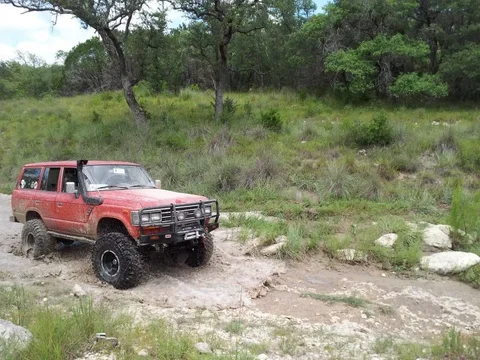 in the creek.webp