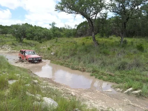 small puddle.webp