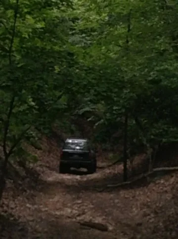 image-126791198.webp