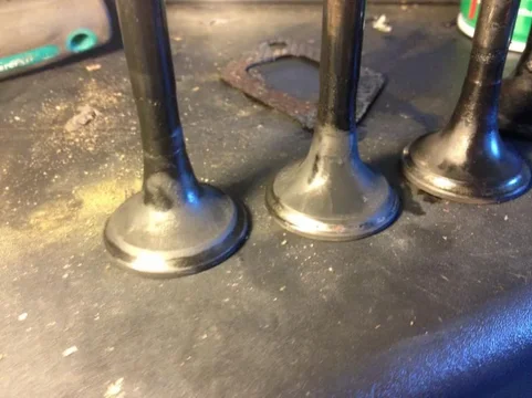image-3531718975.jpg