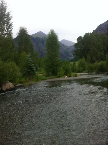 image-1011633276.webp