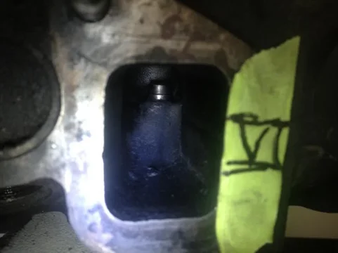 image-4143198502.jpg