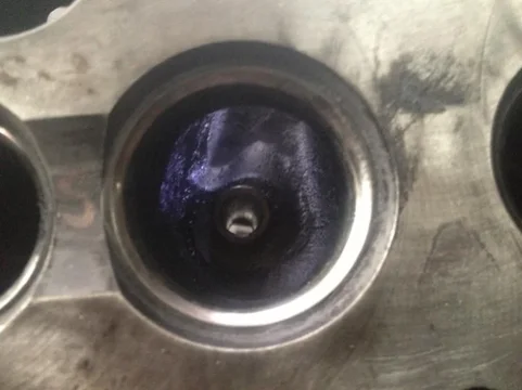 image-3087508958.jpg