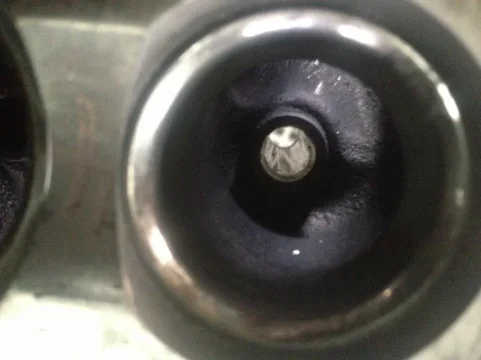image-2156170065.jpg
