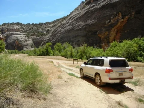 DSCN0983.webp