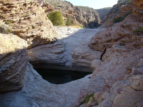 BigBend-09 (250).webp