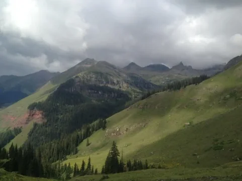 image-2974891713.webp