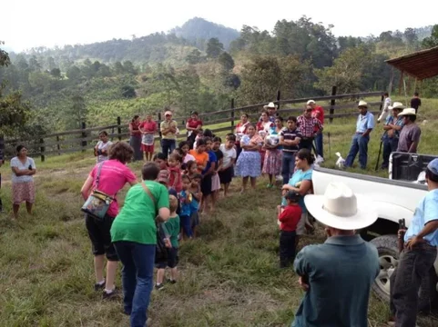 image-1214282370.webp image-1214282370.webp