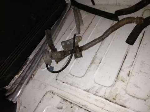 image-860013124.webp