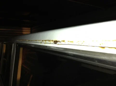 image-3118732149.jpg