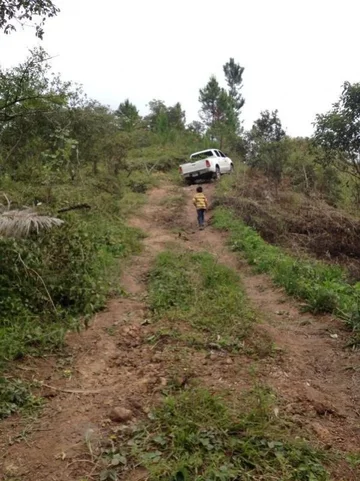 image-186636076.webp