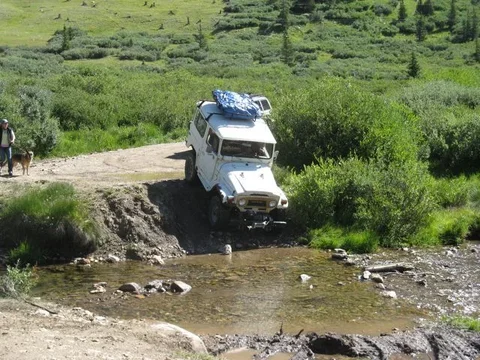 Pre-flop Mosquito.webp