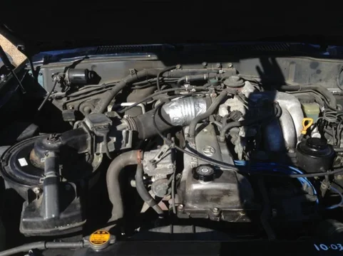 image-660904706.webp