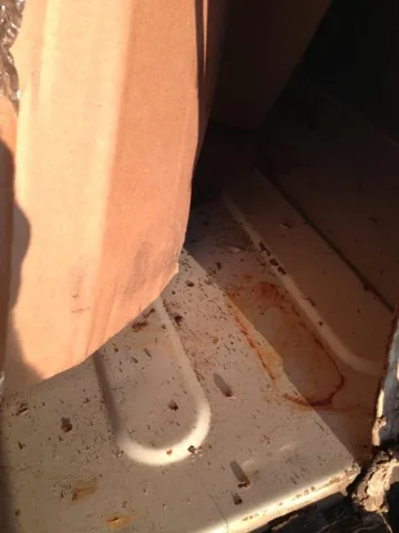image-1748272889.webp