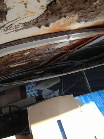 image-3402742476.webp