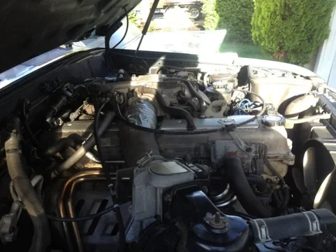 image-3582989767.webp