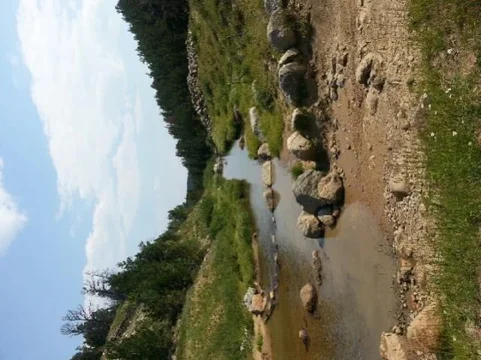 ForumRunner_20130818_152619.webp