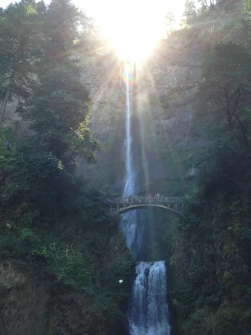 image-1685459290.webp