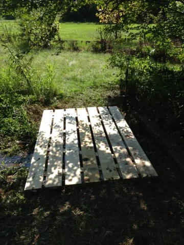 image-2344572917.webp