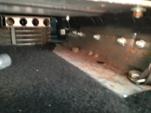 image-3842216366.jpg