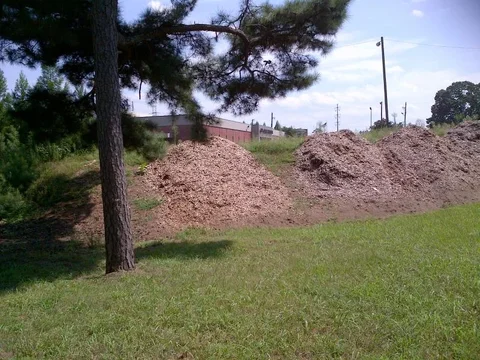 IMG-20130904-00153.webp
