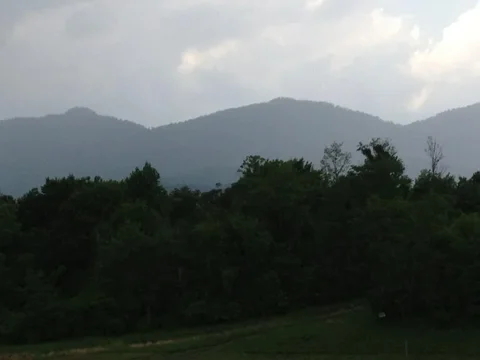 image-1788941196.webp