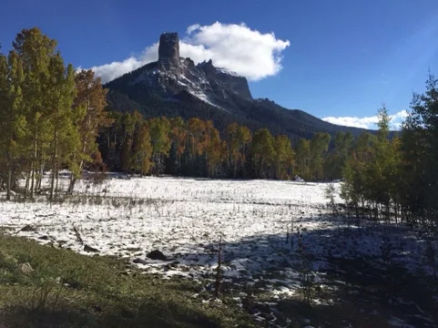 image-743546202.webp