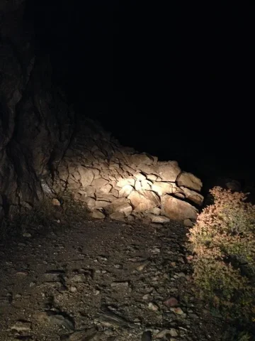 image-2781462917.webp