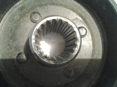image-2981774288.jpg