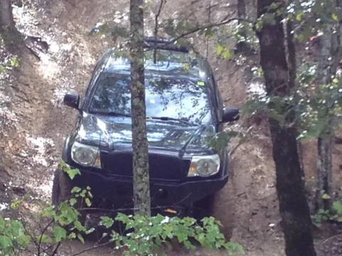 image-65975068.webp