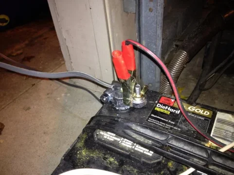 image-3941098423.jpg