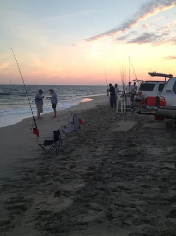 image-2012221384.webp