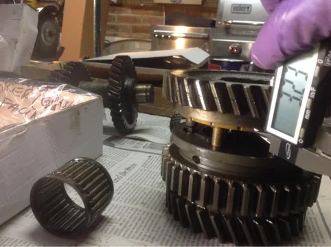 image-4063819324.jpg