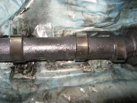 IMG_7312 (Medium).webp