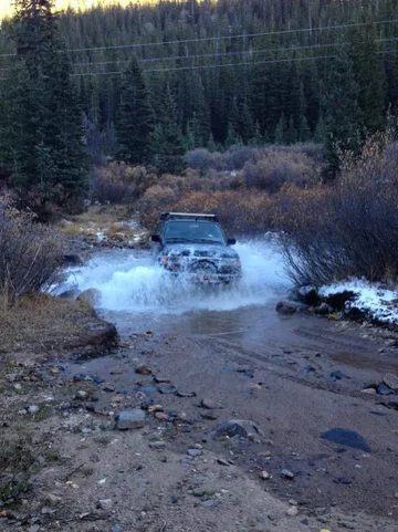 image-3459794558.webp