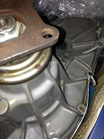 image-1151188565.jpg
