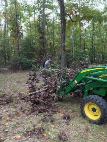 image-970976013.webp