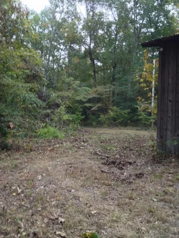 image-986553067.webp