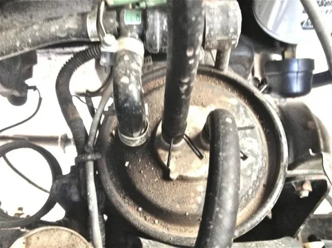 image-2960076929.jpg