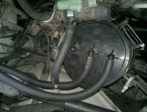 image-728057155.webp