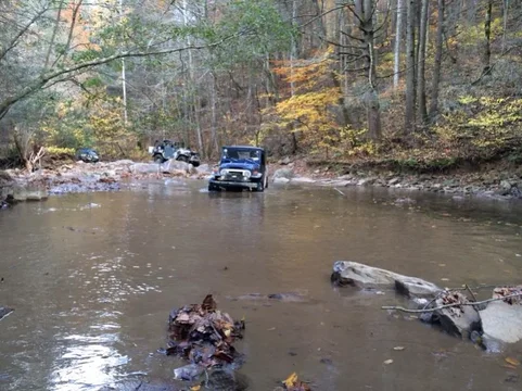 image-2299046032.webp