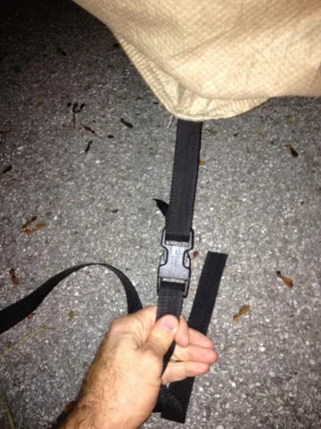 image-2747846837.webp