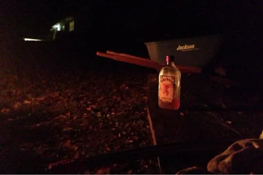 image-2559740972.webp