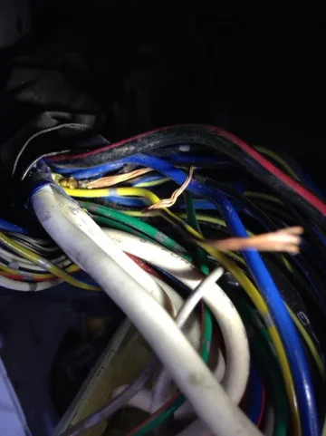 image-3876463329.jpg