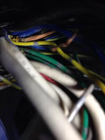 image-1852472621.jpg
