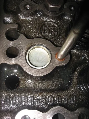 IMG_7395 (Medium).webp