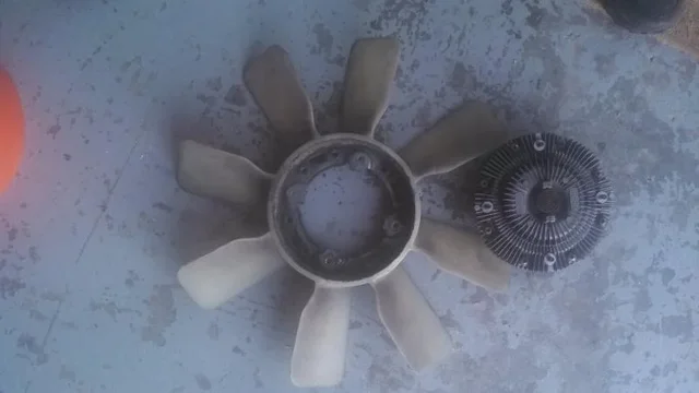 56.jpg